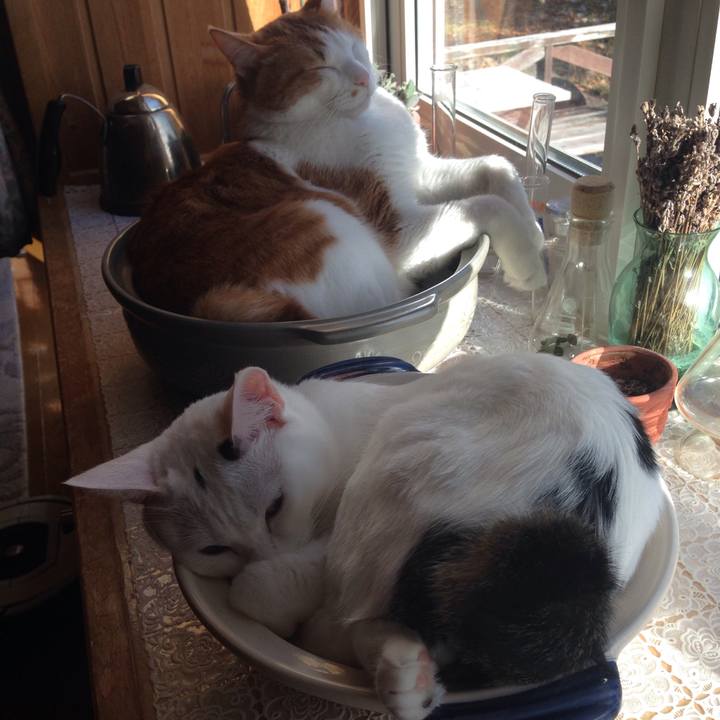 Ada0e26e ac4c 49d6 97e8 195655e64785 1510459091421