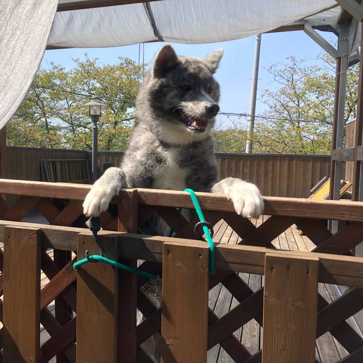 Ada12255 0bf0 4e2b b140 82239e32f827 1570021202003