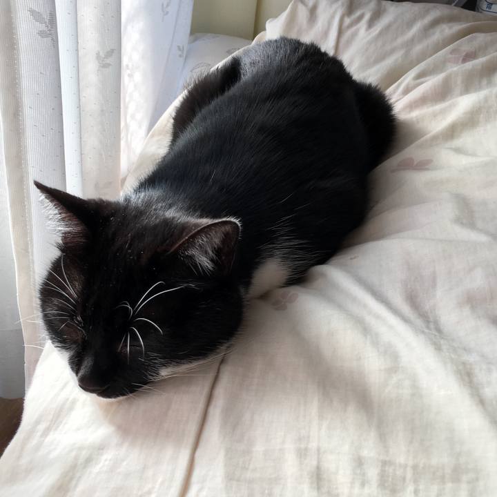 Ada16ab8 b418 4c5e a235 24eb91b2e851 1551077877937