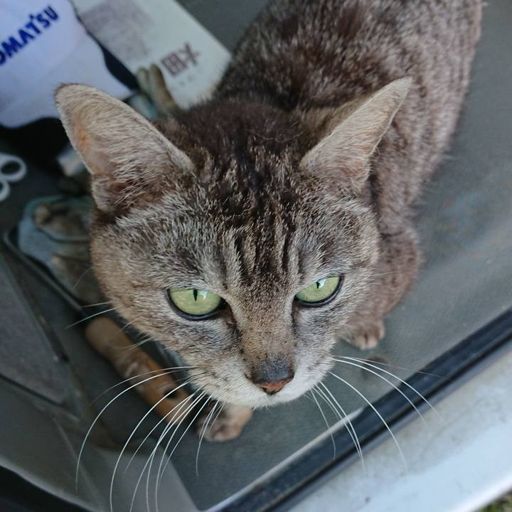 Ada19349 2cde 4133 a7df d0a0a139fe23 1561022436733