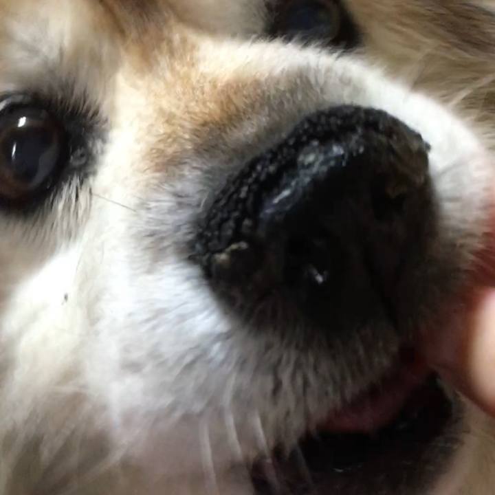 Ada1975e 2070 499d ad7c ee43846209a5 1581443541521