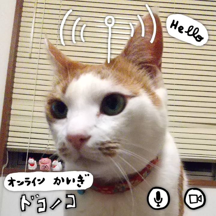 Ada19c6d 79df 47b2 b6d9 5618ccb9f8b8 1590753701504