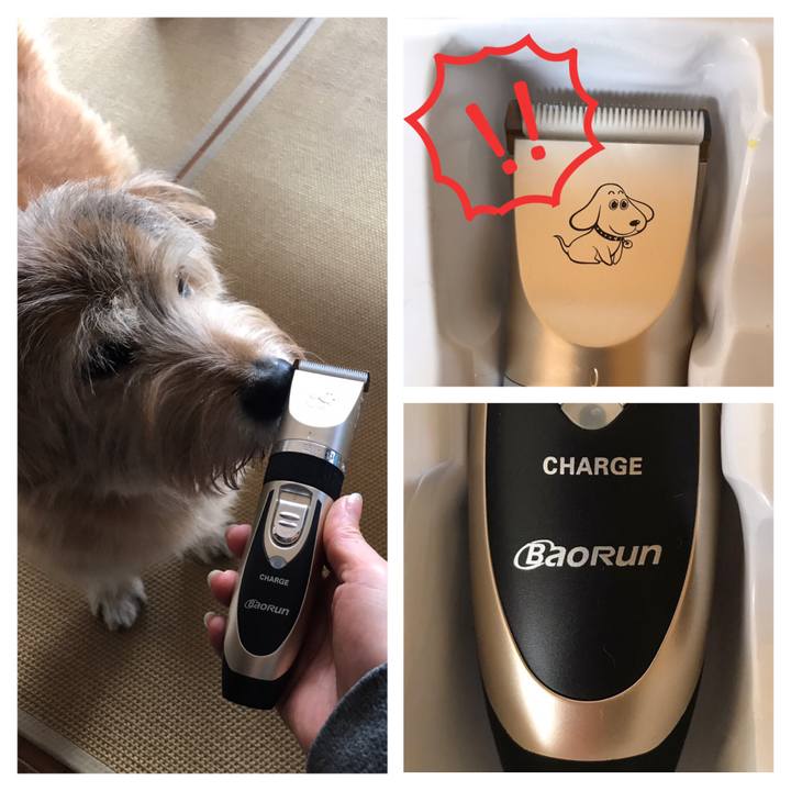 Ada1b7c8 f50e 4bff 97ae e5372cf6b684 1611355210529