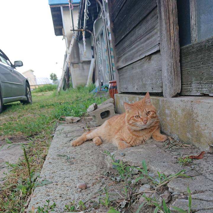 Ada1beab d130 4eb8 94ee fee62d05a592 1656969157175