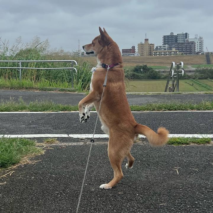 Ada226c4 e6f9 45c2 92b2 d48222c2c613 1727397325303