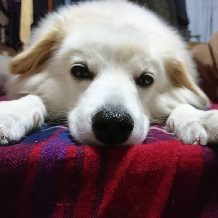 Ada25067 1069 4bdb bf12 f2b30ae0c3f5 1510086086659