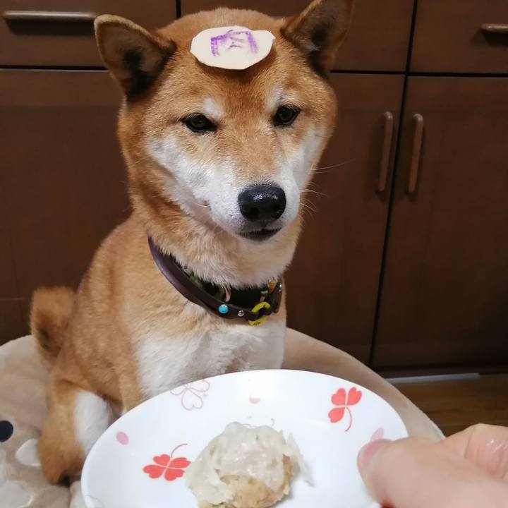 Ada26d02 5eaa 48b5 a784 178d4b4ef5d5 1612865605092