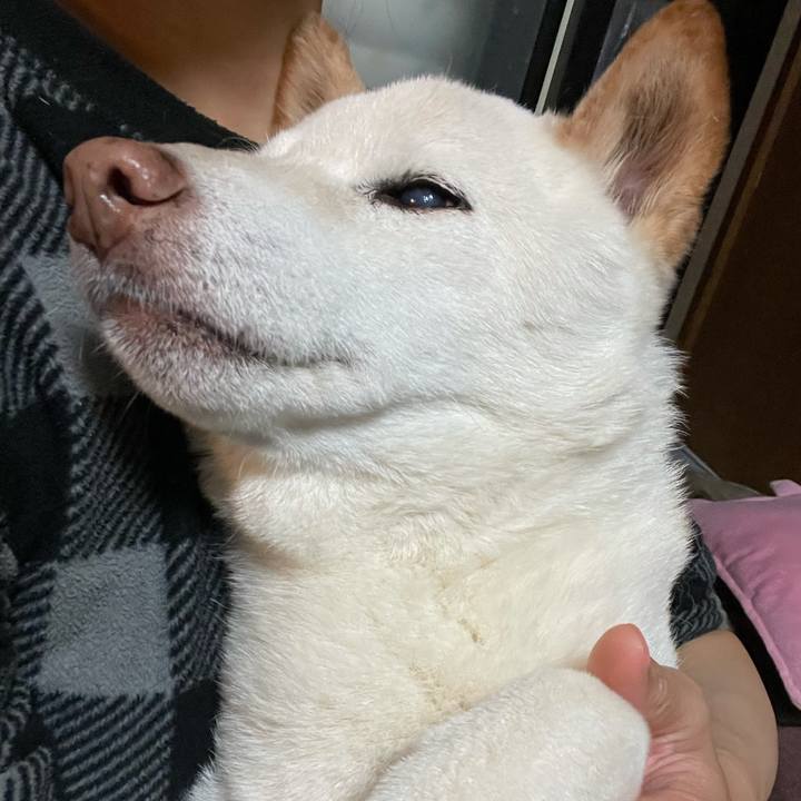 Ada26d60 bab9 47ed 9f7a 74b393194996 1636978749269