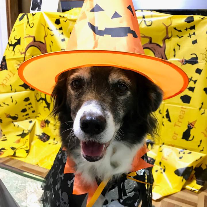 Ada2c109 7ac4 49bb 960c a6401d7648ba 1540990238060