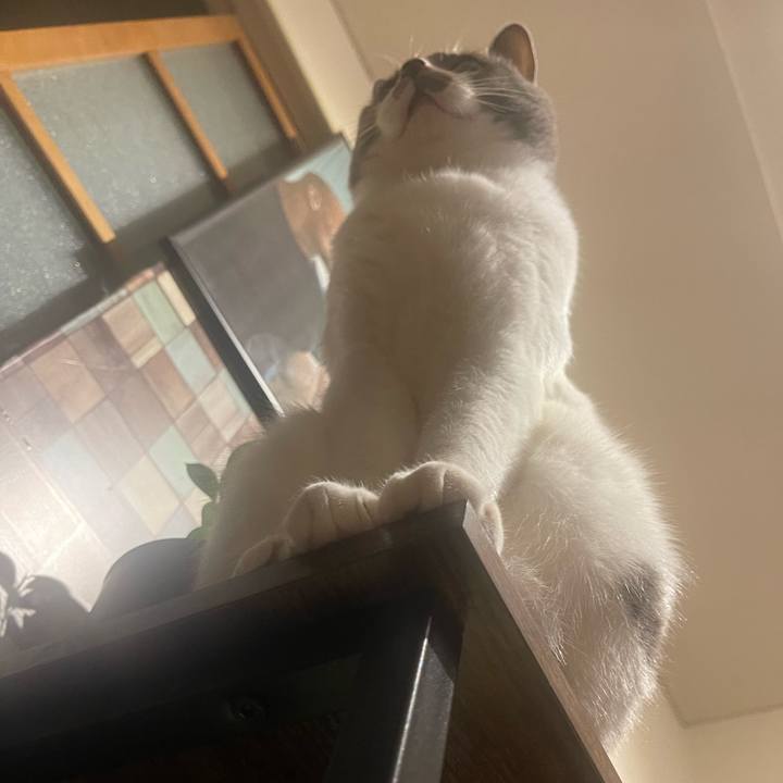 Ada2cd4d 69cc 44c7 8f11 936ecba8ff00 1701441300576