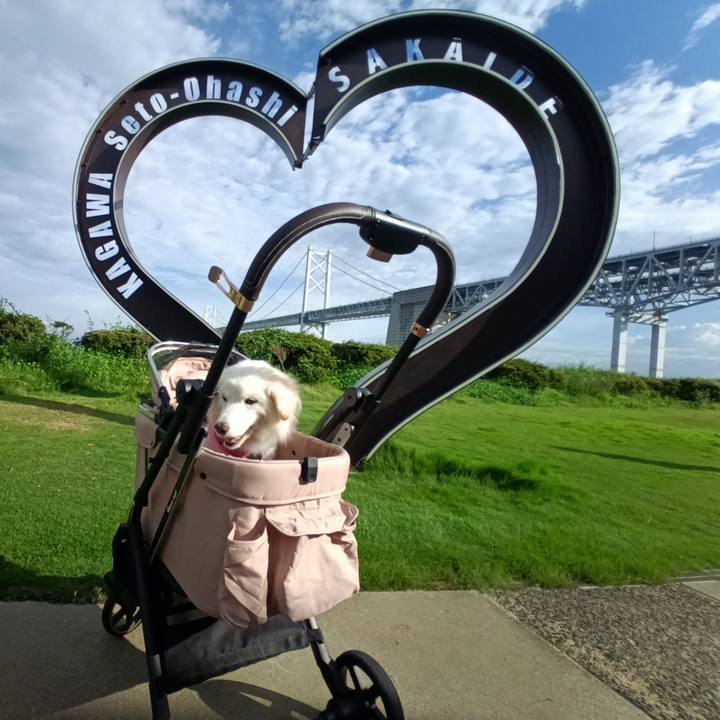 Ada2de21 d449 4911 91da bac6c03ed7bd 1757641877055