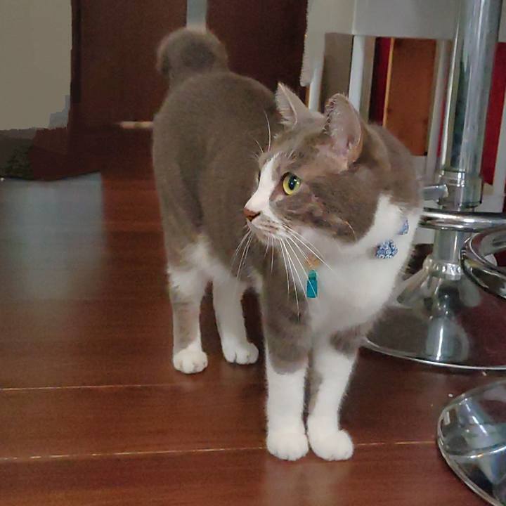 Ada2e1e5 82e1 49bc 8001 4a41278b58a7 1724710745785