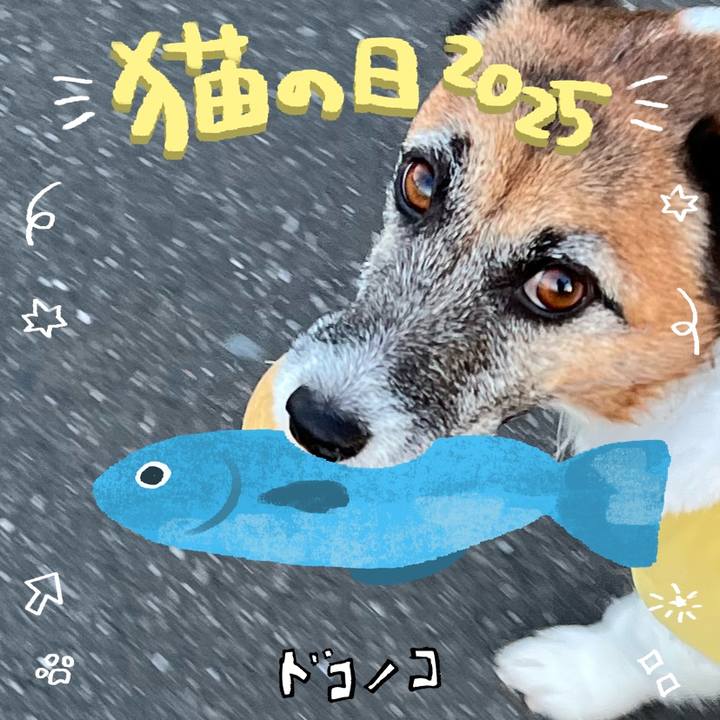 Ada30aaa 735f 4c1e bbab 39e37253fd3d 1740128814632