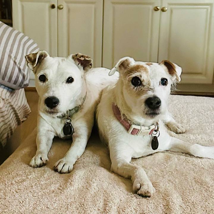 Ada310e6 076e 40dc bb2d afd279df029f 1756858528867