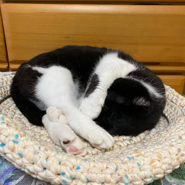 Ada31bff b3a6 4a83 a303 d684035215f6 1653894326326