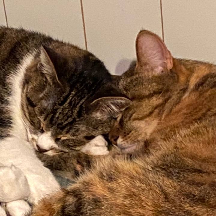 Ada3a38a 745e 4216 97e0 f1cda077dd38 1578417608695