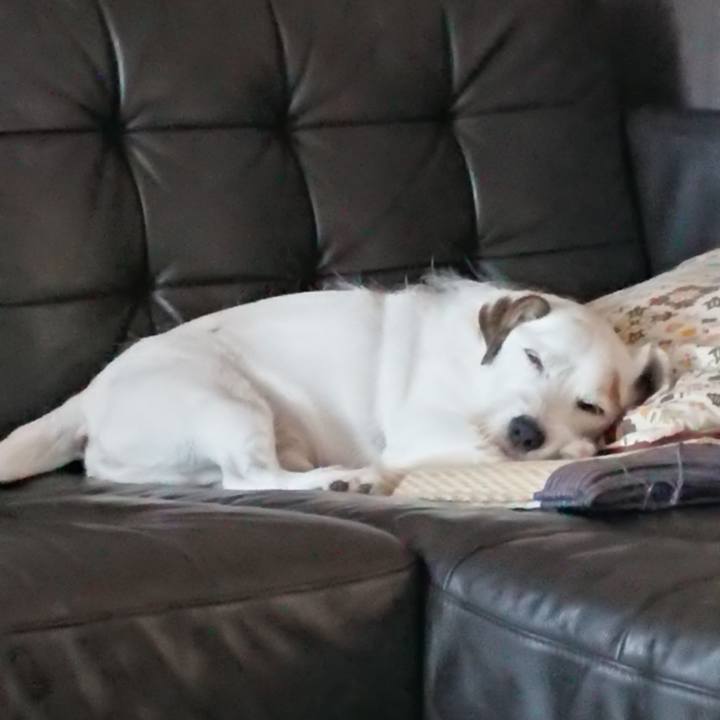 Ada3b12c 9494 4fb5 b1d2 8ba13cce8fd7 1568243968885