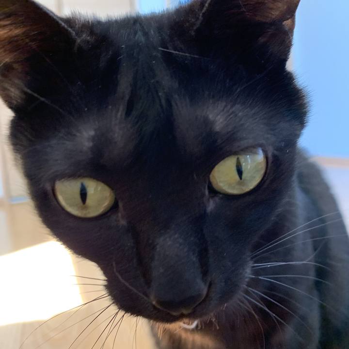 Ada3b90d 65f0 4c42 beb9 14c9a90fce86 1555119633599