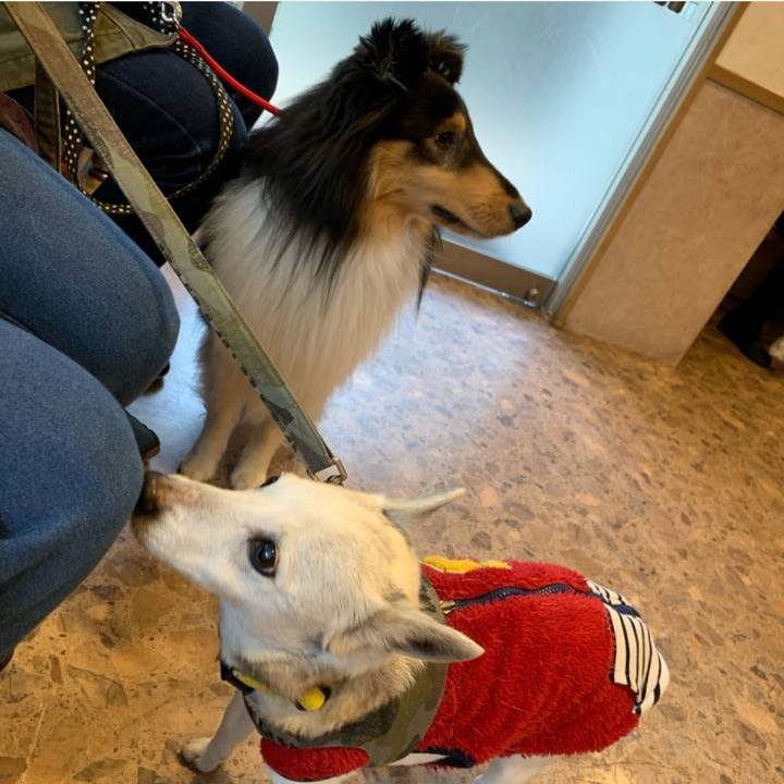 Ada3c464 22ca 4c08 aa69 4ecdb5f47c86 1773444941914