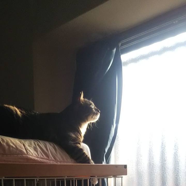 Ada40154 d254 4e4b 9a15 f455d9aa08c6 1629966355532