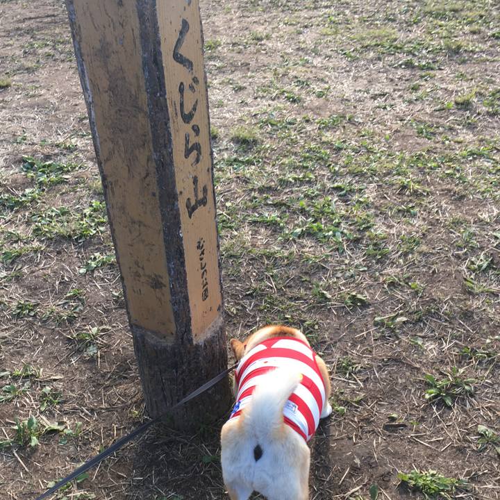 Ada43e89 5d1d 4ea0 be54 4d8f625ded9f 1573204432895