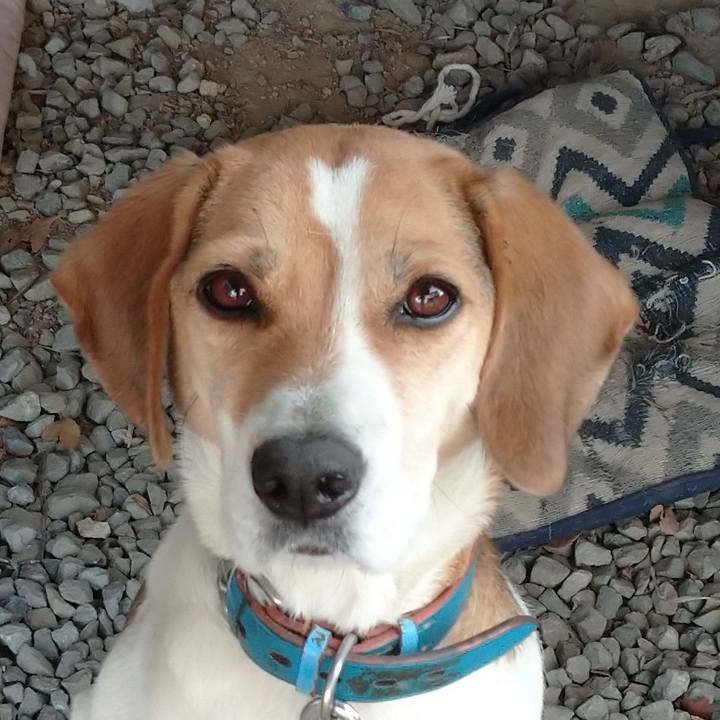 Ada45c45 74ad 4d2d ad1e 832c716fe064 1607141394454