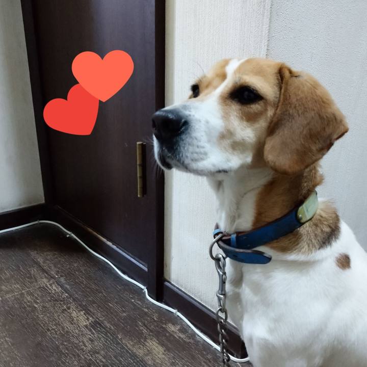 Ada4635f 8aa5 4249 9e79 50fc871103fb 1615276060417