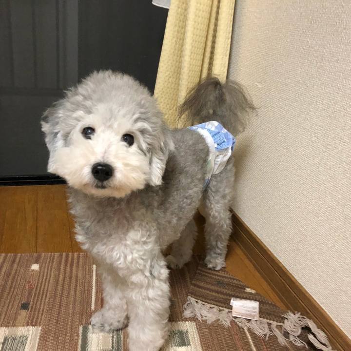 Ada46405 d461 4075 acbd f2c5ccc42541 1538711052377