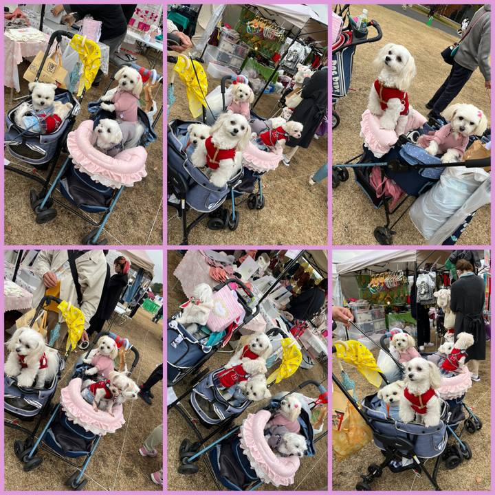 Ada47e34 013d 4ead 8069 8bef193e97be 1669474277580