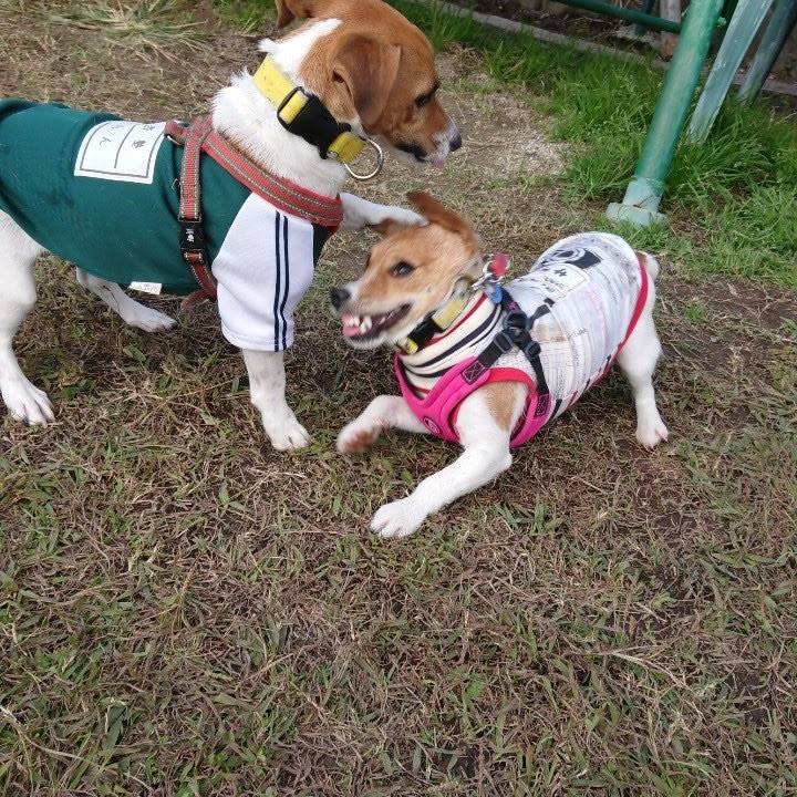 Ada4834c 9047 4222 a202 8738ccc091bc 1588551059363