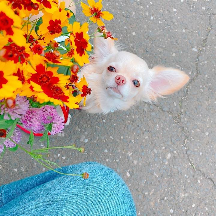 Ada49cfe 06f0 4cf1 9fc1 1c834fd1d89e 1624686060185