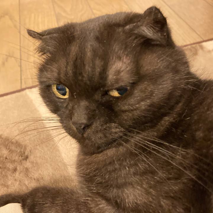 Ada4b7fc 69a4 4a00 94ba 3d20c5eb7c9a 1601652932010