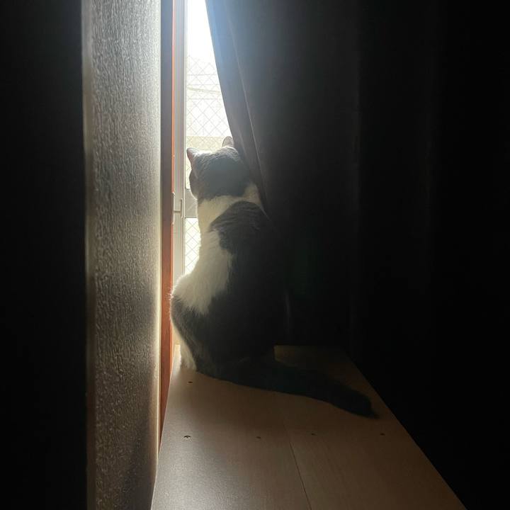 Ada4c3a2 dee2 424d a485 6fb62325c50c 1687637089251