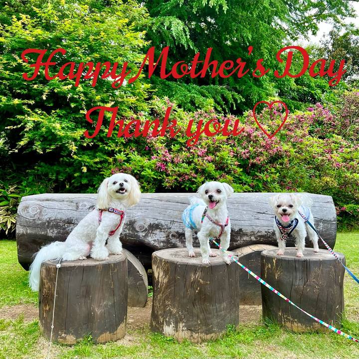 Ada4e7a7 88c9 40b5 b222 85e876d62d35 1652008476612