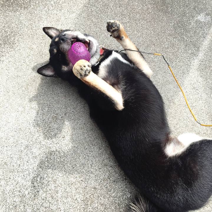 Ada52e9e eb6b 4475 bff0 e0b980dacf44 1540007374135