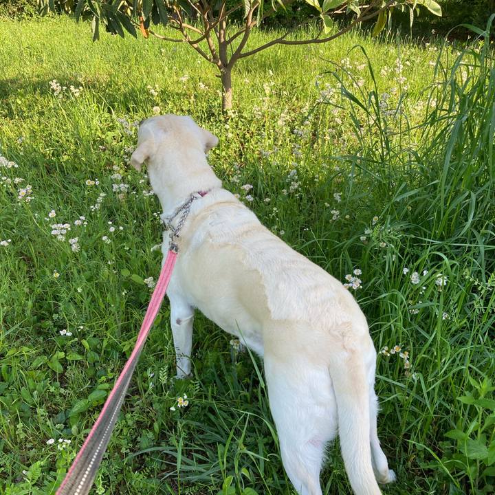 Ada54ecf 913a 455e 9922 ccefeb9ef877 1714801814569