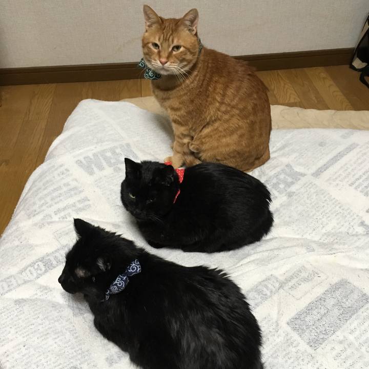 Ada57a78 2133 4705 a9d6 cb519949276a 1549061951592