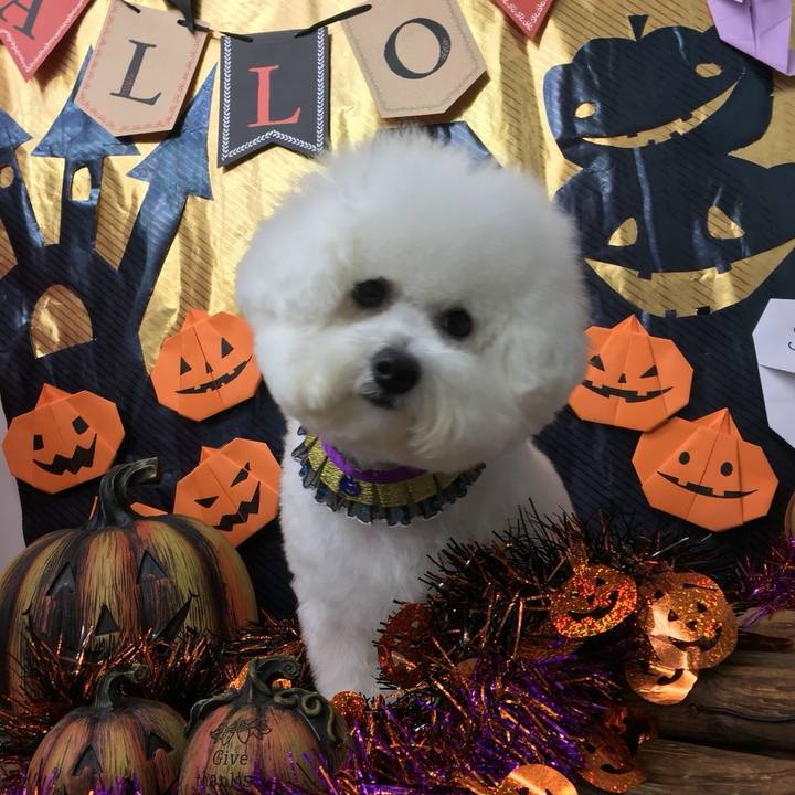 Ada58150 15a7 4643 b8c3 ae1ae366c34f 1507953559254