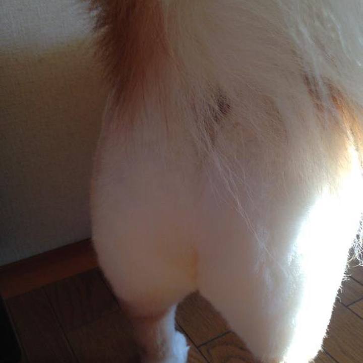 Ada5998a 3478 4045 a7f1 9ece667fcb1b 1524276106642