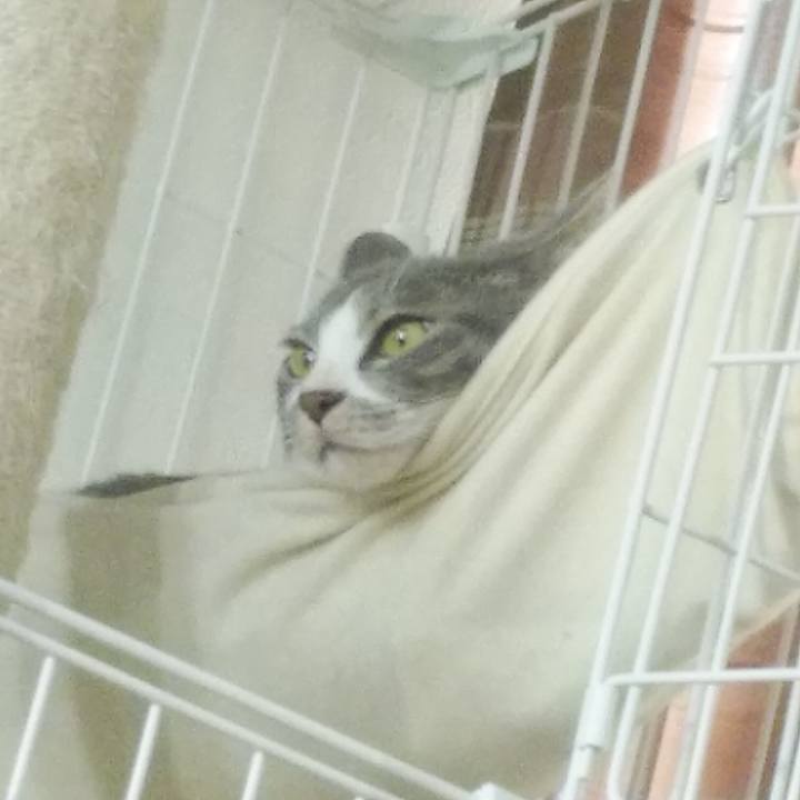 Ada59b06 c781 43e5 9510 e703e5d6180e 1588313082964