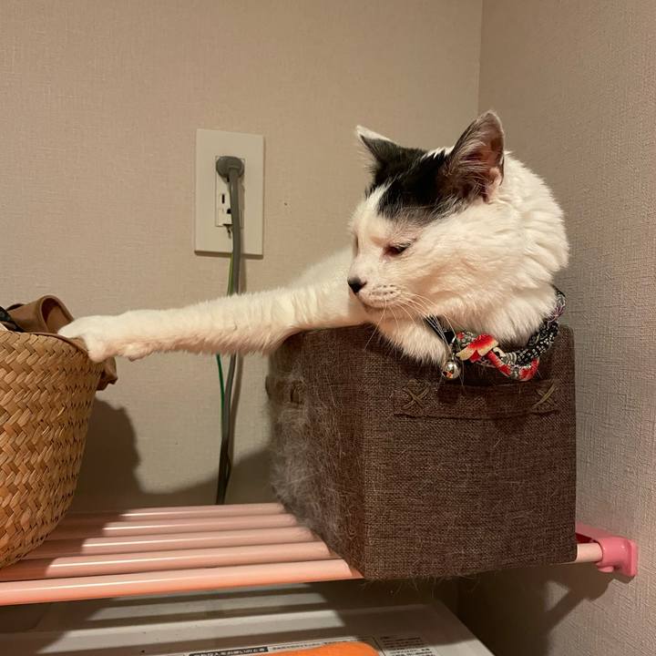 Ada5a381 2816 4a1b 981e 3f5234e0a12e 1744720423168