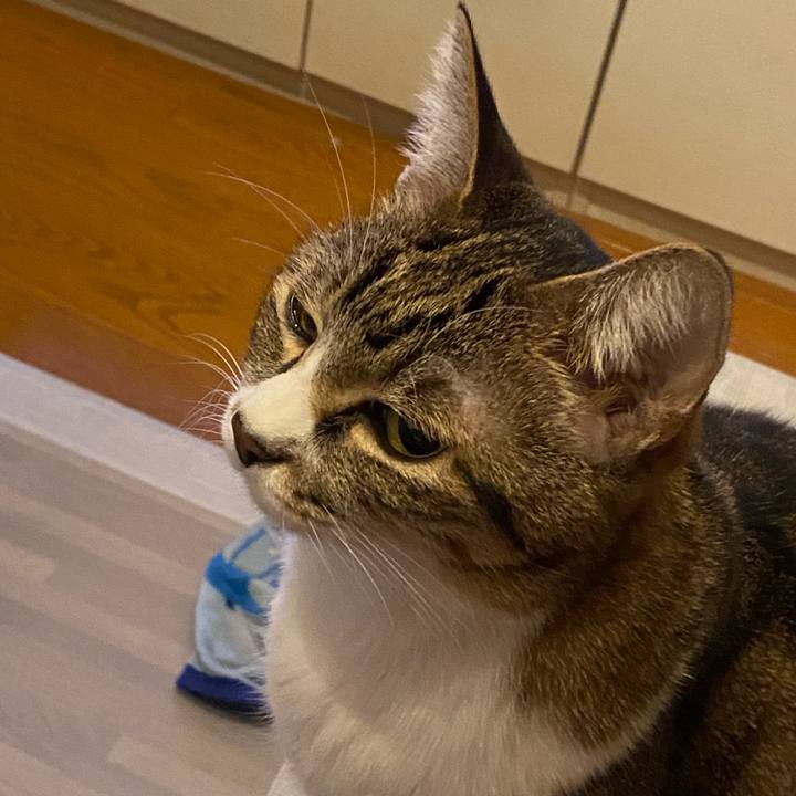 Ada5aecc d06f 4ab3 b948 82a08d127bb4 1637501364819