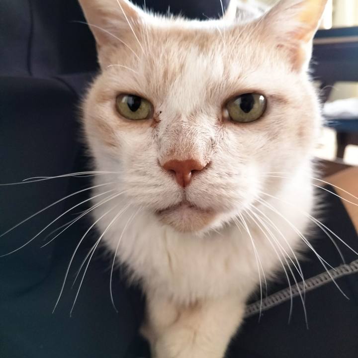 Ada5b27f 9b63 4252 a66f 955db0fa24c6 1698013607305