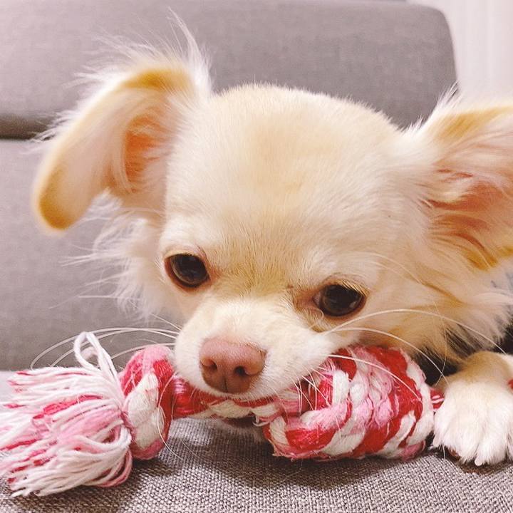 Ada5d415 381c 46e7 9c53 0624069c03e3 1606537003828