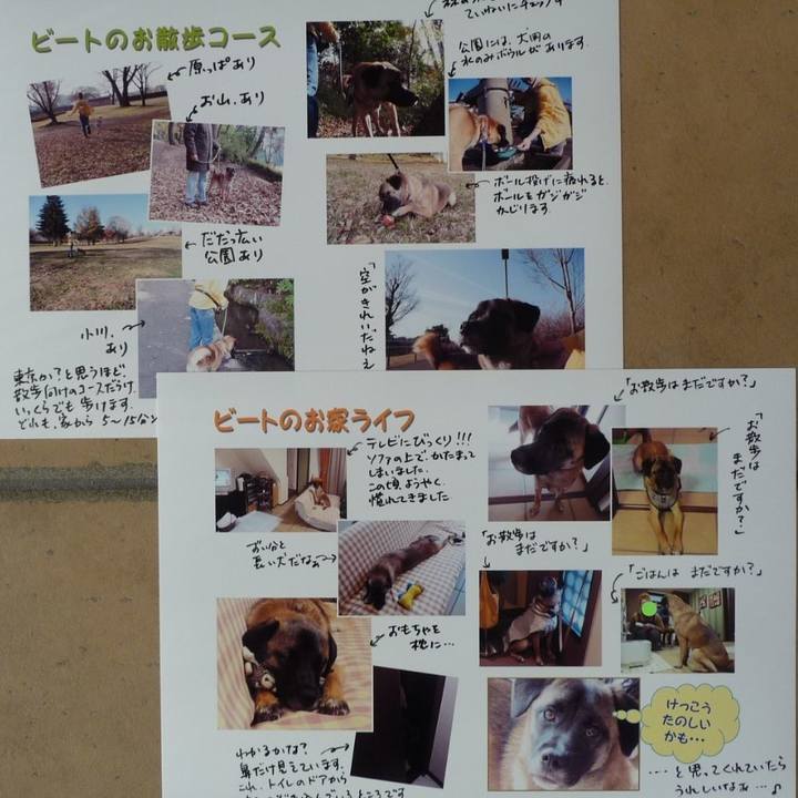 Ada5dd83 3338 4244 83db 9907392b1fe4 1576481563020