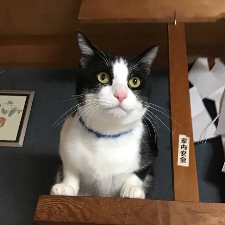 Ada5edb8 f255 4555 a980 dbb917fcae93 1702971289602