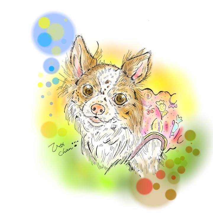 Ada60828 498b 4136 898c e804711ecf32 1588351471692