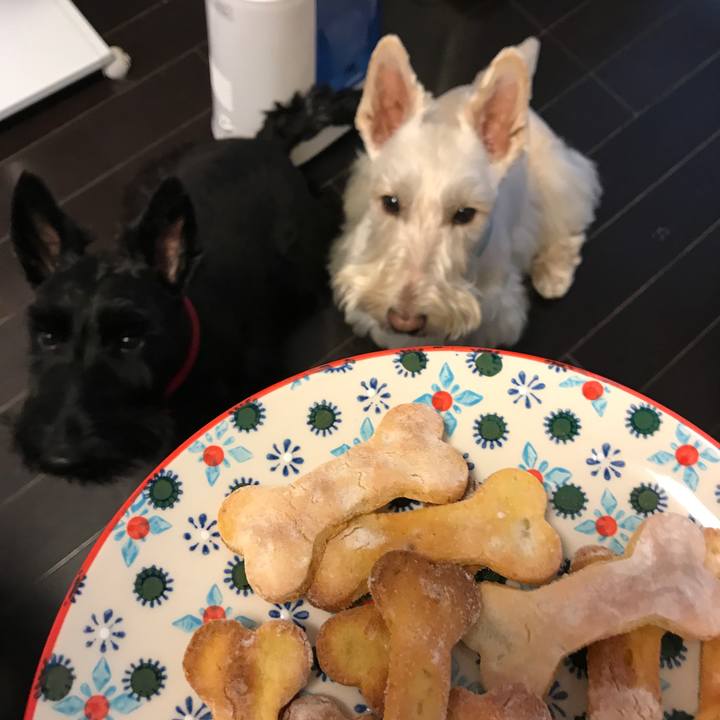 Ada620f6 7f22 40c7 9d78 7e4000c16987 1515634164341