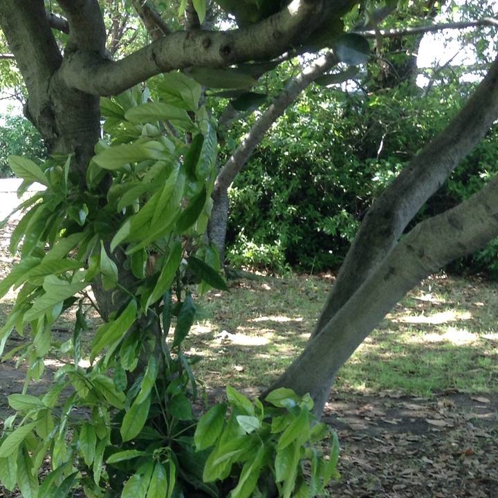 Ada62775 2596 4db6 81fa 9ebd8694295a 1526270437123