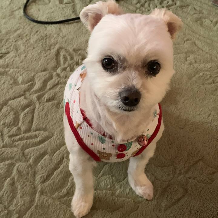 Ada638ae 4698 4834 9814 446fe8968d42 1617083531759